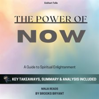 Summary: The Power of Now by Bryant, Brooks